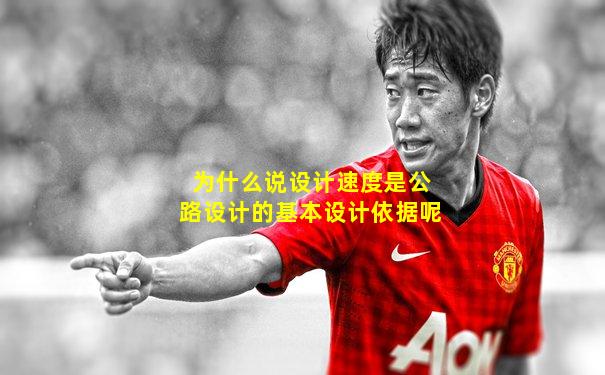 为什么说设计速度是公路设计的基本设计依据呢