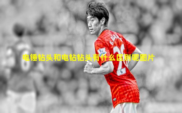 电锤钻头和电钻钻头有什么区别呢图片